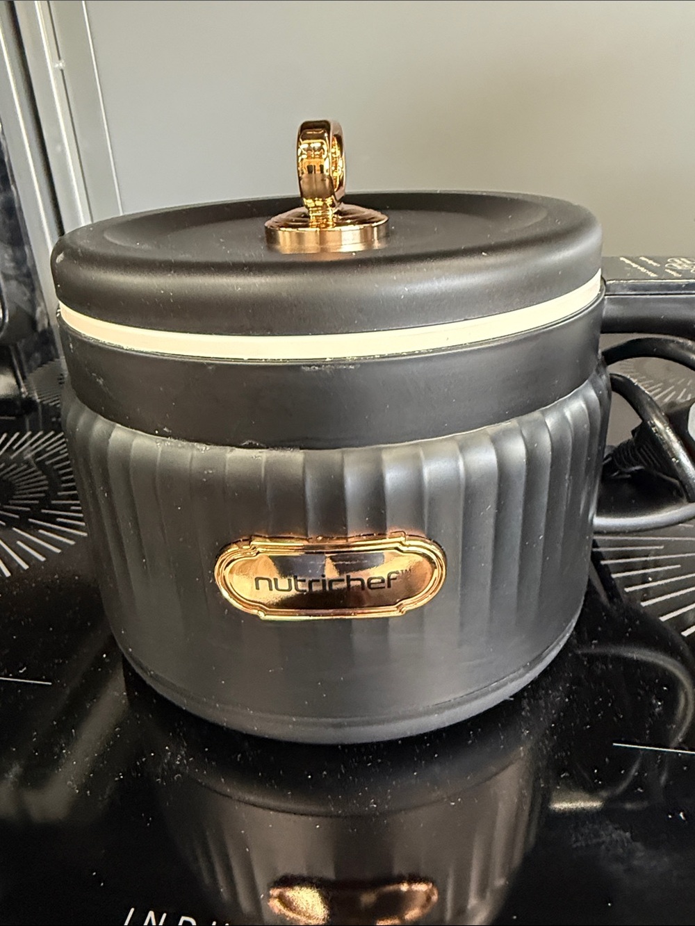 Black and Gold Electric Food Steamer